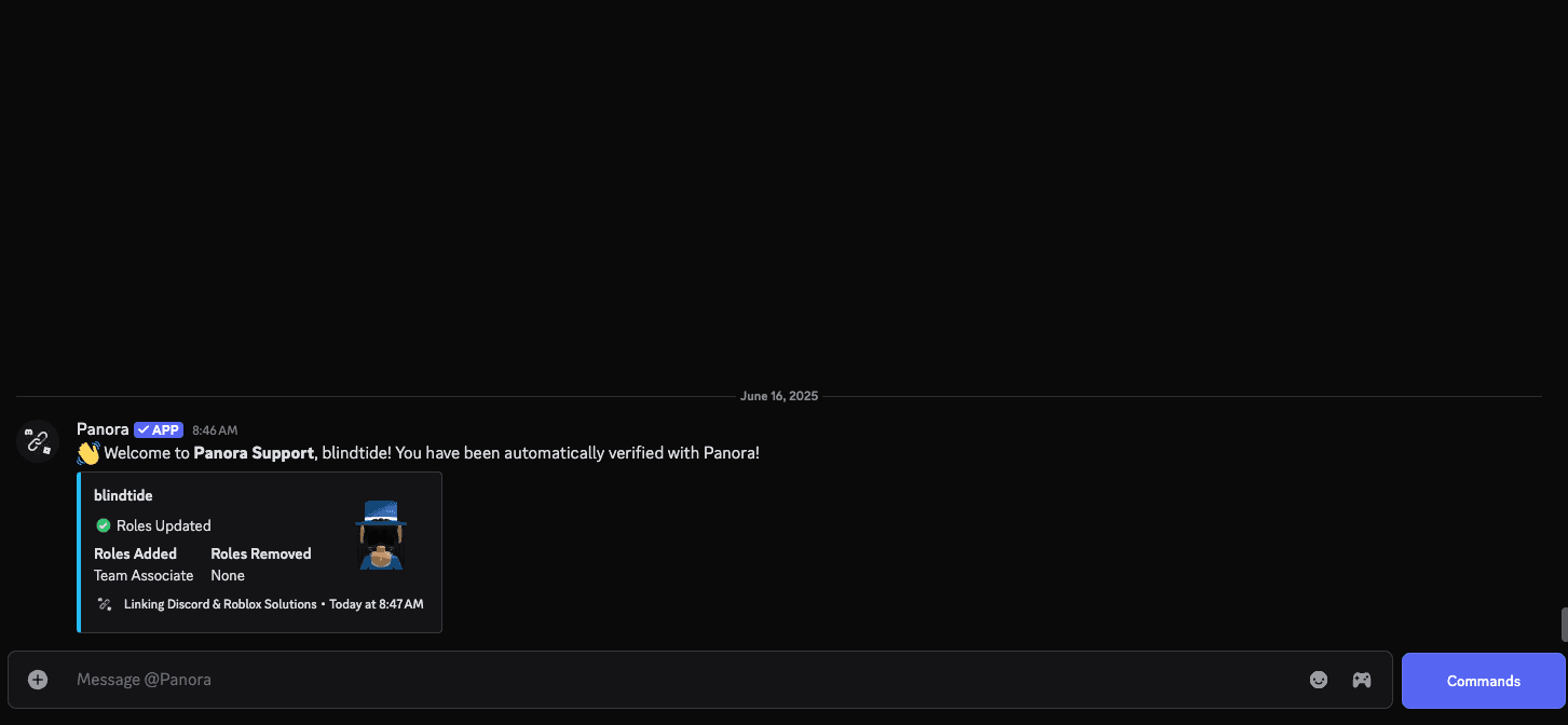 Member Verification Dashboard